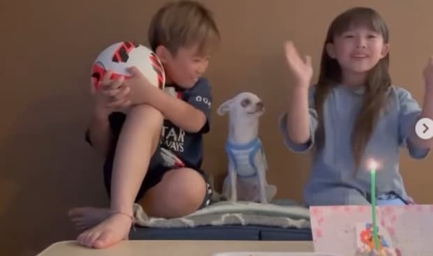 デヴィ夫人　愛に包まれたペットたち！サニー君とトニー君の感動エピソード