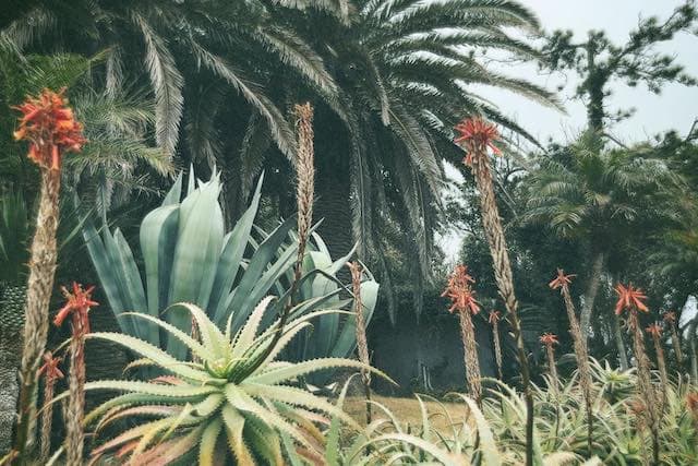 インスタが4日で300万人フォロワー超え！平野紫耀がお気に入り写真公開😳