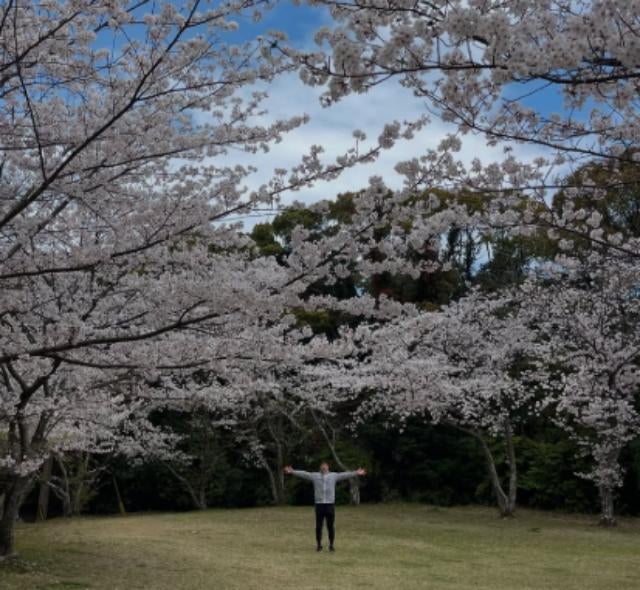ラグビー山田章仁、満開の桜に笑顔「日本の春、やっぱり最高！」