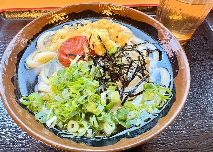 女子プロレスラー・下田美馬、移動日ランチは“讃岐うどん”　彩り豊かな一杯に舌鼓
