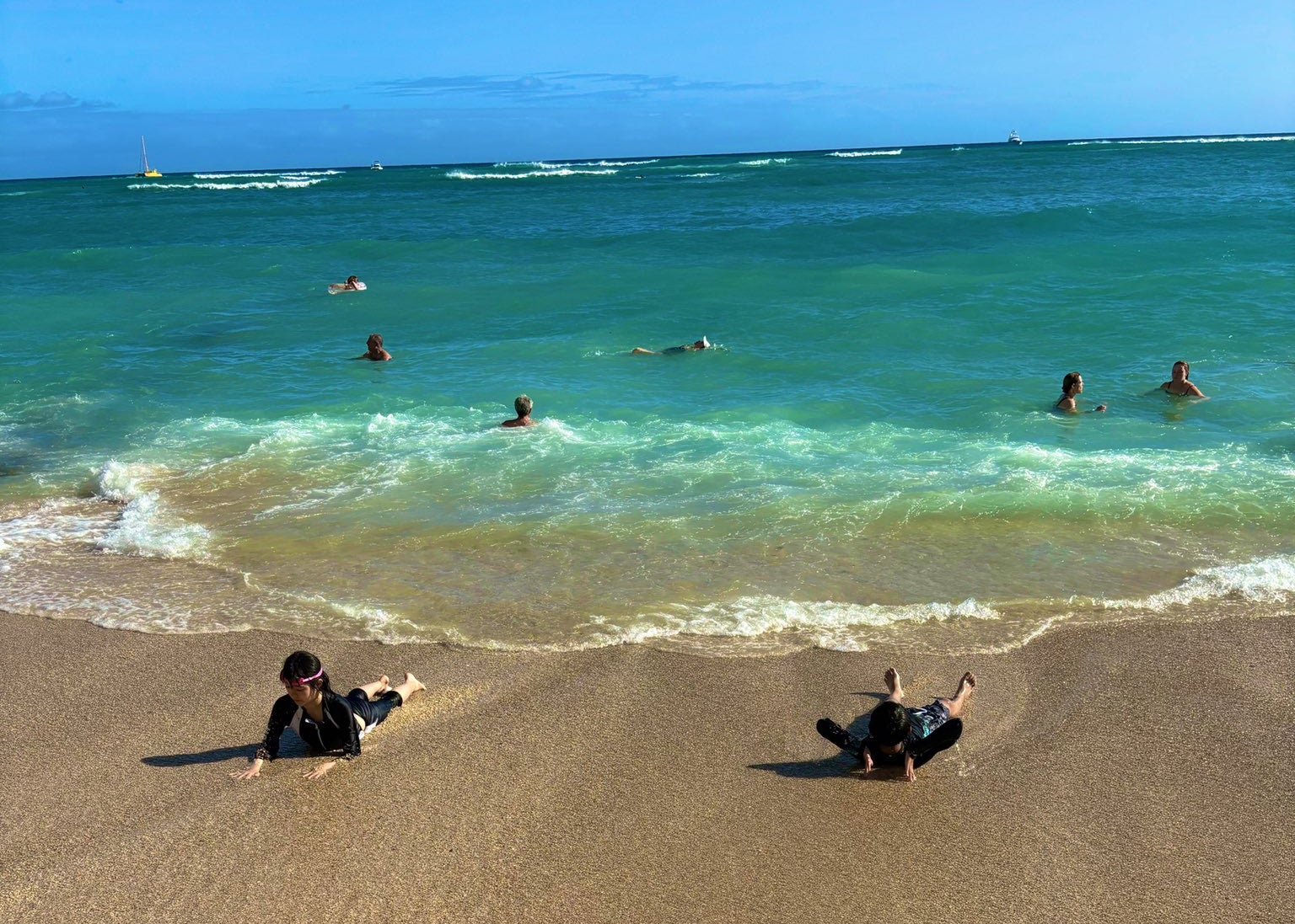 團十郎白猿、“打ち上げられたウチの子”が可愛すぎる！ハワイの一幕にほっこり