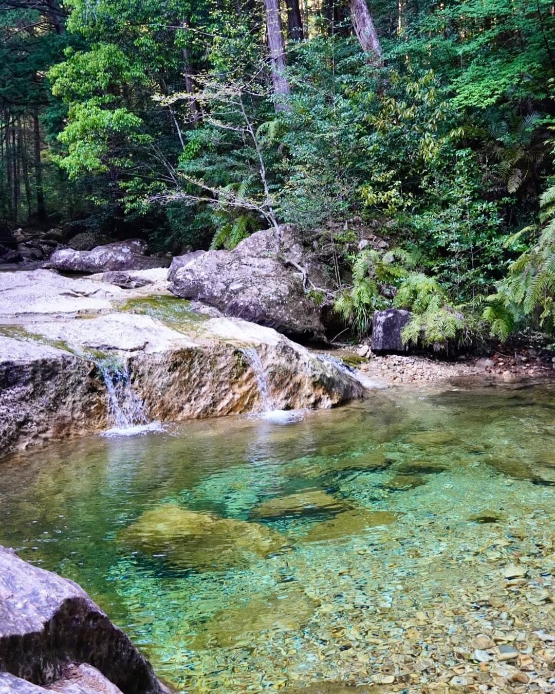 「おいしい空気をいっぱい吸い込んで リフレッシュしてきました」尾形杏奈、愛知の屋久島で大自然を満喫！