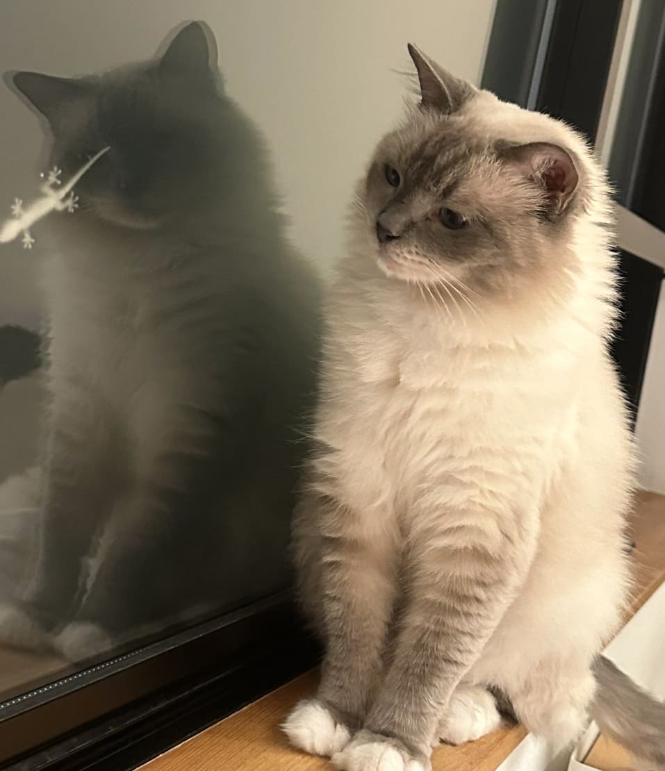 人気YouTuberが半年ぶりにSNSを更新 ファンからエール続々「おかえりなさい！」