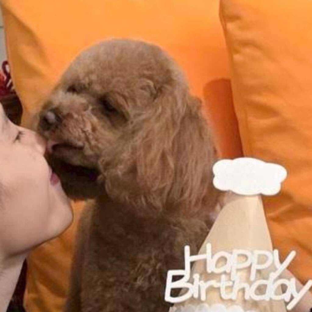 幸せ全開！土屋太鳳、家族と過ごすバレンタイン＆愛犬バースデーが尊い