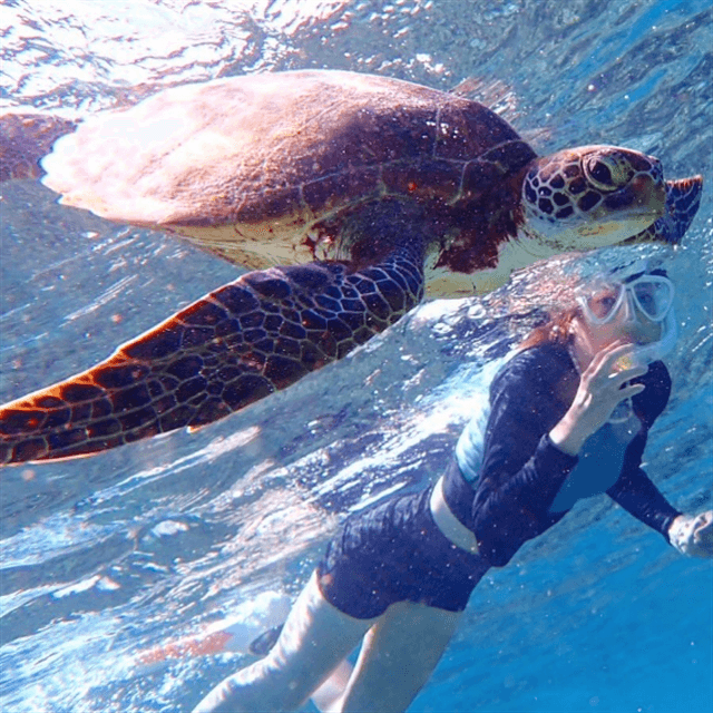 「ヴェールを脱いだ！」女優・上野樹里、スタイル抜群スイムフォトでファン大歓喜