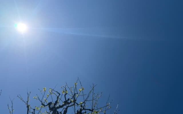 「今日もいい天気だ (^^)」SnowMan・佐久間大介が春らしい青空の写真をシェア