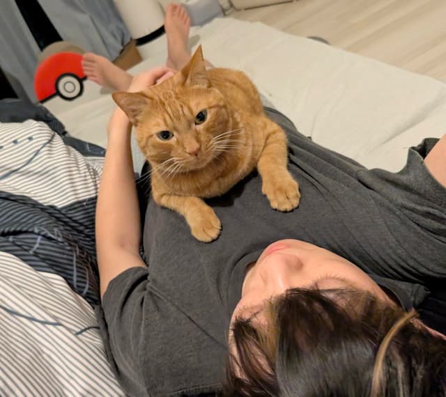 「起きたら6kg体重増えてました」松丸亮吾が起きたら身体の上に愛猫が