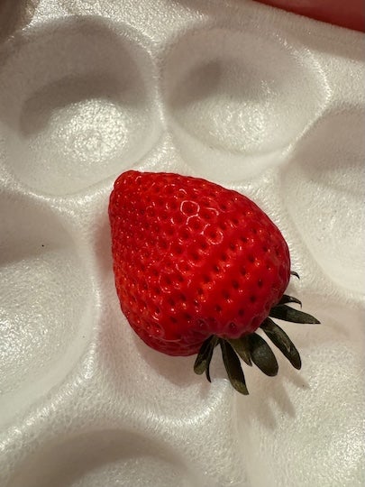 「この〇〇美味しすぎる！！！」Snow Man・佐久間大介　差し入れの〇〇にどハマり　衝撃の美味さをファンに共有