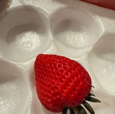 「この〇〇美味しすぎる！！！」Snow Man・佐久間大介　差し入れの〇〇にどハマり　衝撃の美味さをファンに共有