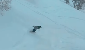 「滑り倒した！」伊勢谷友介、圧巻のスノーボード動画を公開！