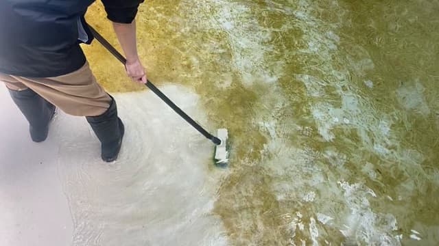 「かわいいな！」道の駅ウミガメ公園が公開した”掃除が長引く理由”に反響