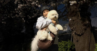 「桜とワンコと詩ちゃん…尊すぎる春の一枚」阿部詩、癒し全開のプライベートショットにファン歓喜