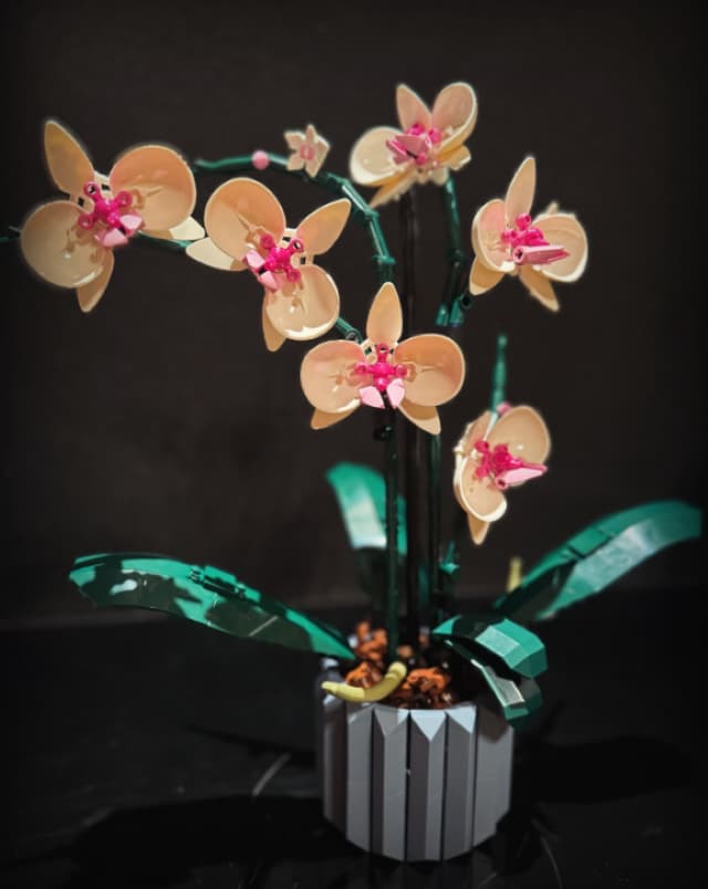 「成長を感じてしみじみ…」枡田絵理奈、子どもたちが作った〇〇〇の写真を投稿