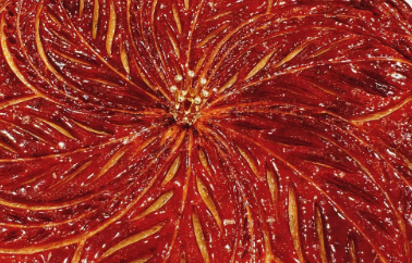 有吉弘行が「美味しいやつ」報告、投稿にファンから反応続々