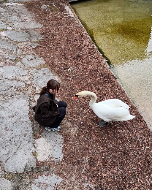 元乃木坂46・山崎怜奈 白鳥と戯れる姿が可愛すぎる！「怜奈ちゃん可愛い」と話題に！