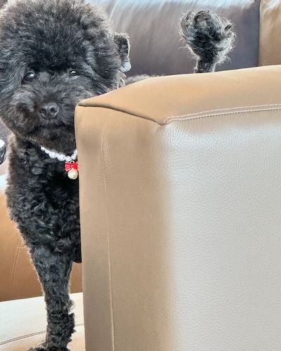 浜田雅功の妻・小川菜摘が「トコちゃん」と見つめ合う!?喜びが隠せない様子