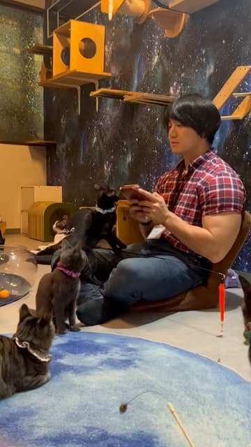 「なんと微笑ましい…」人気マッチョ芸人が保護猫カフェでの羨ましすぎる動画を投稿