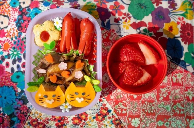 柳原可奈子、ノラネコぐんだん弁当を公開！長女との可愛すぎる会話で食材が決定！