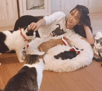 紗栄子、保護猫たちの救世主に！心温まる活動が話題沸騰