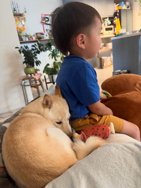 ワンちゃんとの絆が尊すぎる！山内健司の息子が高熱時にとったワンちゃんの行動にファンも感動！