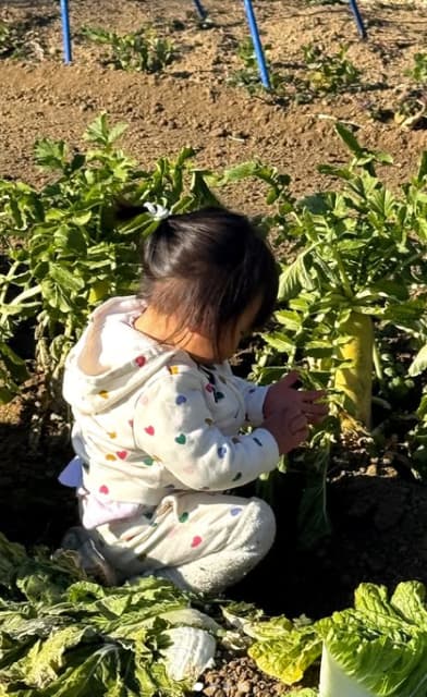 祖母からの教育に称賛の声集まる！北斗晶が孫とともに農作業⁉