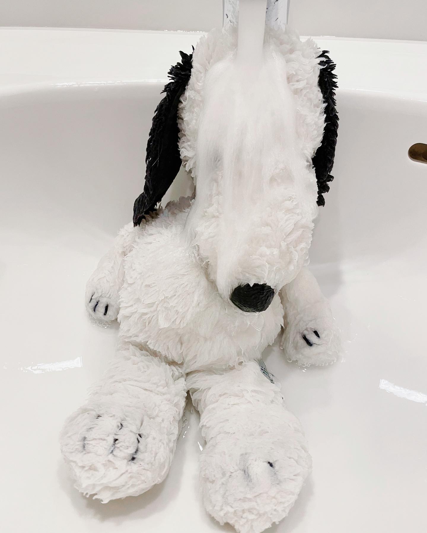 内田理央さんが愛する