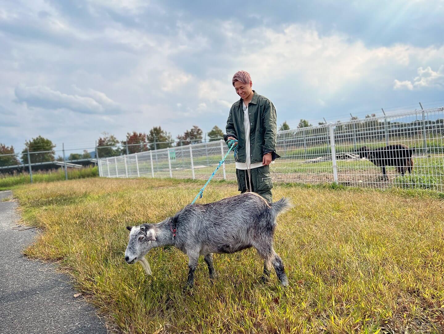 🥊武尊が動物との触れ合いで思わず満面の笑み🐐
