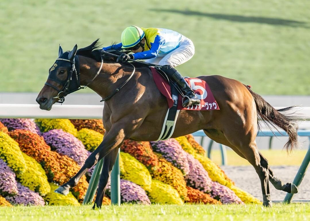 坂井瑠星が勝利を報告！元ジョッキー・福永調教師との思い出も語る