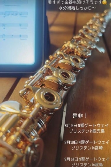 「暑すぎて楽器も溶けそうです🫠」cocomiの楽器が夏バテ