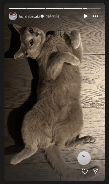 あの大人気歌手が愛猫の“へそ天”姿を披露！その美しさは飼い主似…！？