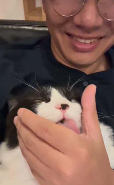 お笑い芸人 ミキ 亜生 愛猫とイチャイチャ！「隅々まで舐めてくれる。」