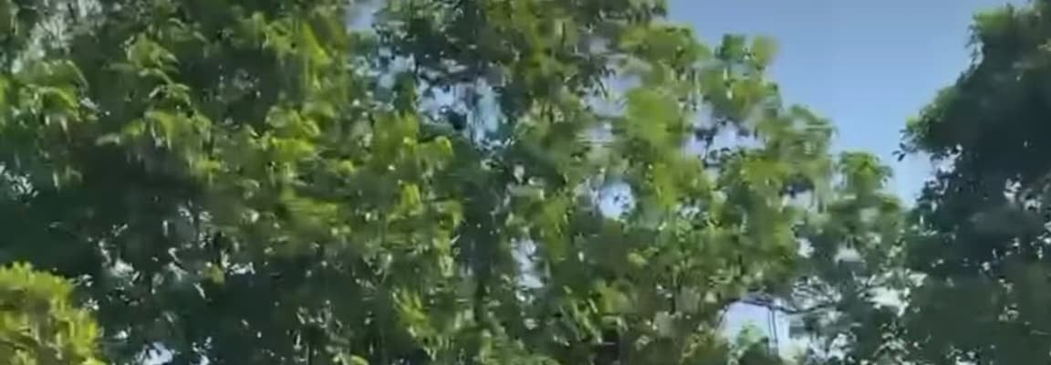 「わたしも早くマイファーム持ちたい〜！」吉川ひなの、自然農法ファームへ！