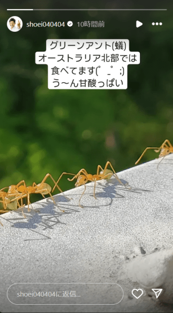 「ほんとに食べたの？」照英、ある生物を実食！！！