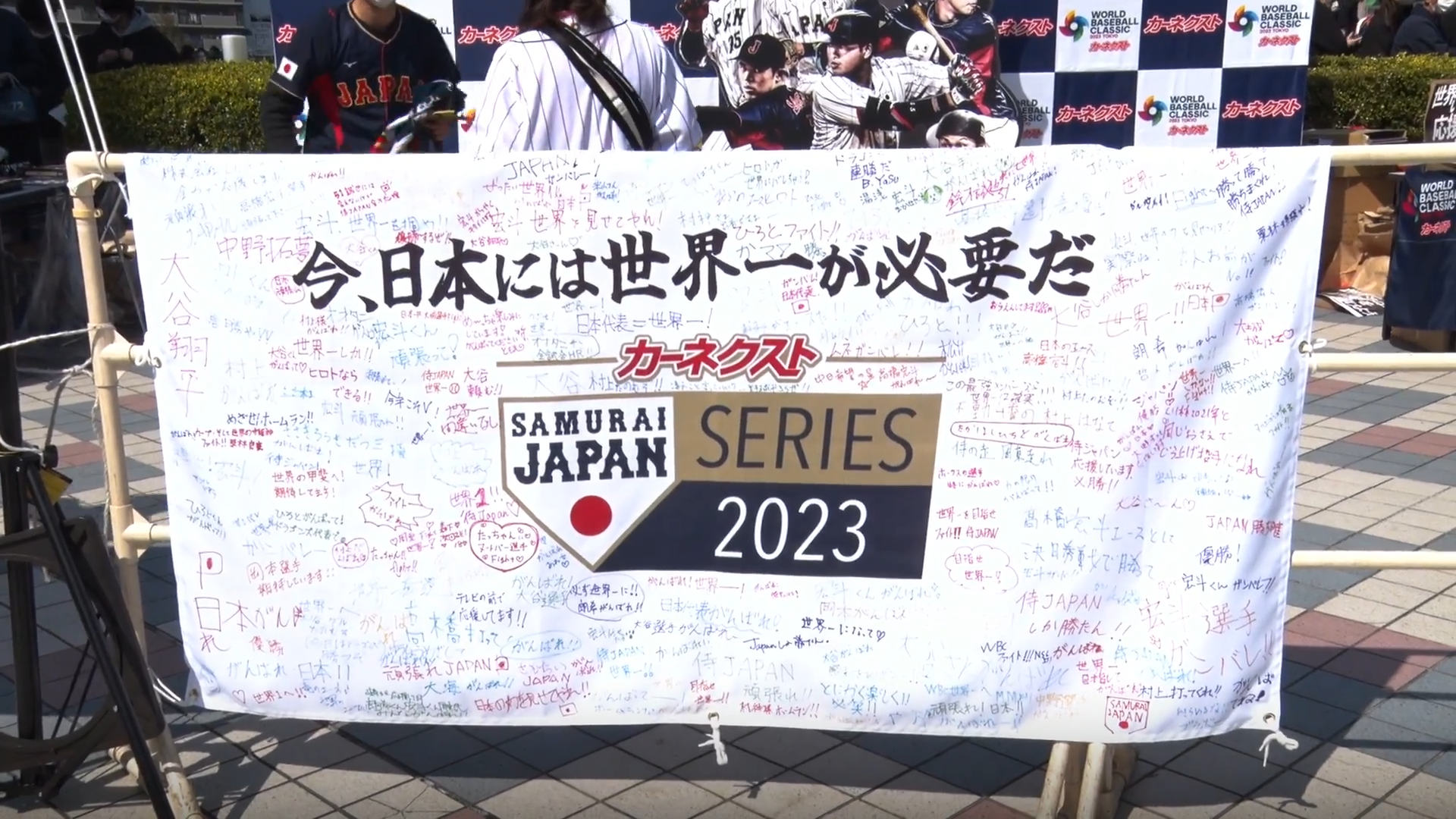 【WBC】特別協賛 カーネクストの想いに迫る