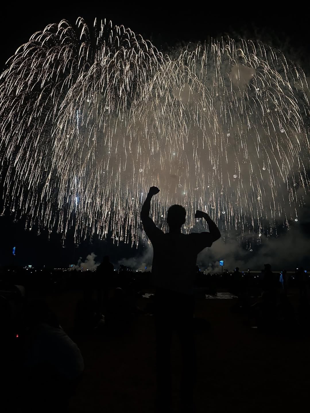 もはや神秘的！なかやまきんに君の長岡花火「筋肉ショット」が話題