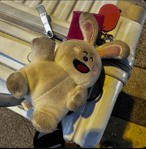 STARDOM【スターダム】安納サオリ、関西でのほっこりエピソード「うさぎちゃん好きなんかぁ？」