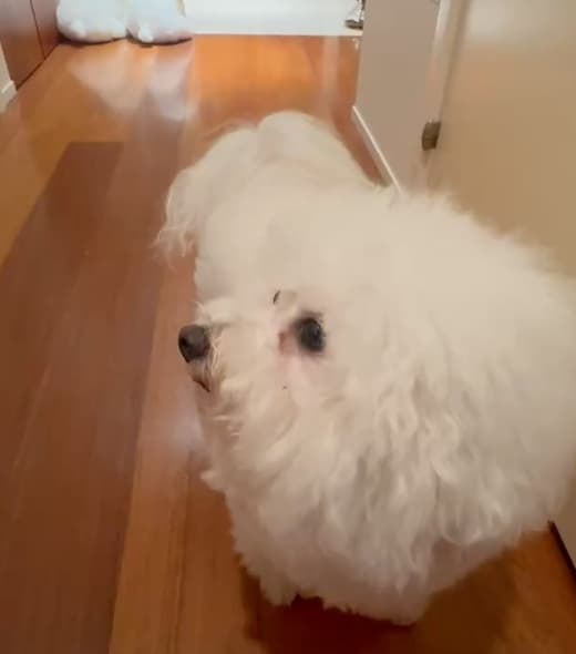 槙野智章　ぱんちゃんの幼稚園シリーズに注目！金曜日は2つのバージョンでお届け