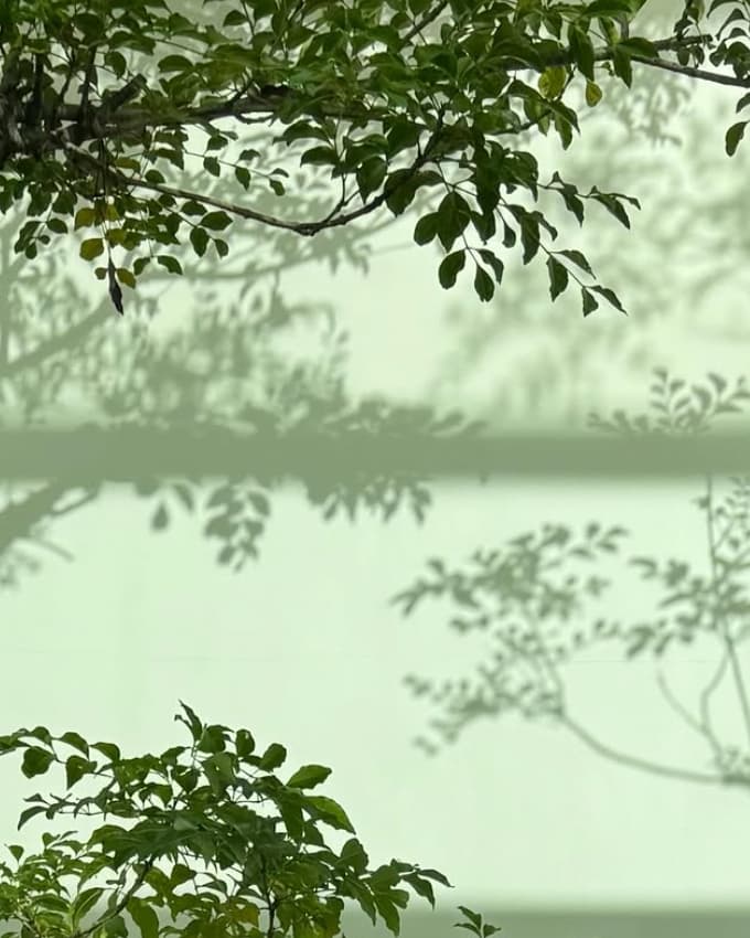 「特にこんな壁の色。」椎名桔平、好きな色を公開しファンから癒されると話題に！