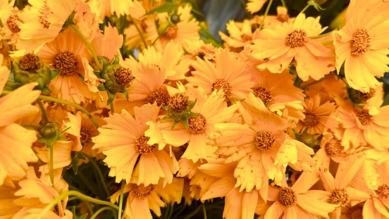 夏木マリの“おはようシリーズ”が話題　雨の日も心温まるメッセージに反響