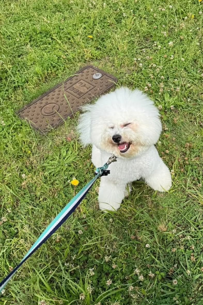 「びっくりするくらい幸せなんかな」阿部詩、愛犬の幸せ溢れる笑顔ショットにファンもほっこり！