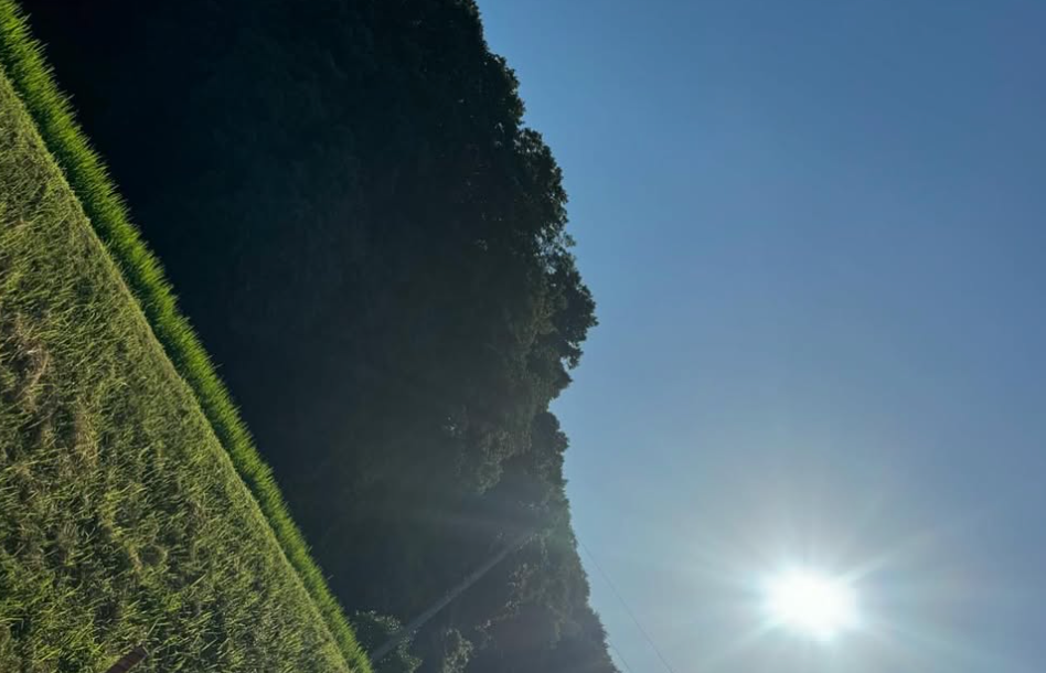 稲見萌寧、オープンウィークで3週間の調整期間へ　次戦へ向け全力準備表明