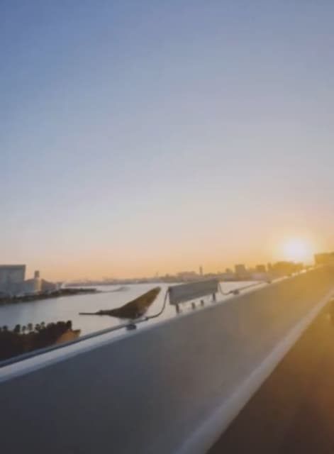 お疲れ気味！？有名アイドル、何も考えず夕日を見つめる！