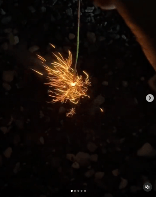 桜田ひより「夏の思い出」投稿にファンもほっこり一安心♪