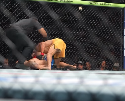 UFC TUF王者決定！ジョセフ・ボップが三角絞めで華麗にフィニッシュ