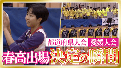 愛媛予選男女決勝　春の高校バレー2026 【春高出場決定の瞬間】