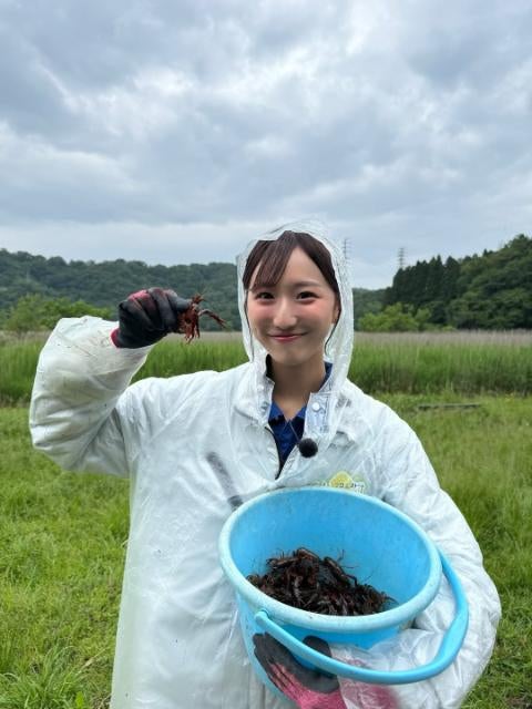 田辺真南葉アナが「Fukuiクエスト！」第9回出演！外来種のザリガニ捕りレポ