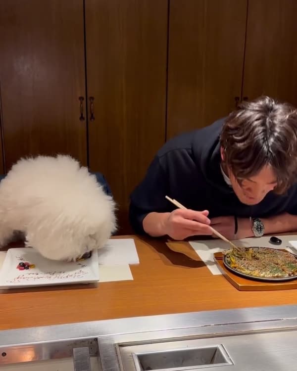 食べ方までそっくり!?槙野智章の愛犬と の食事姿にコメント殺到‼