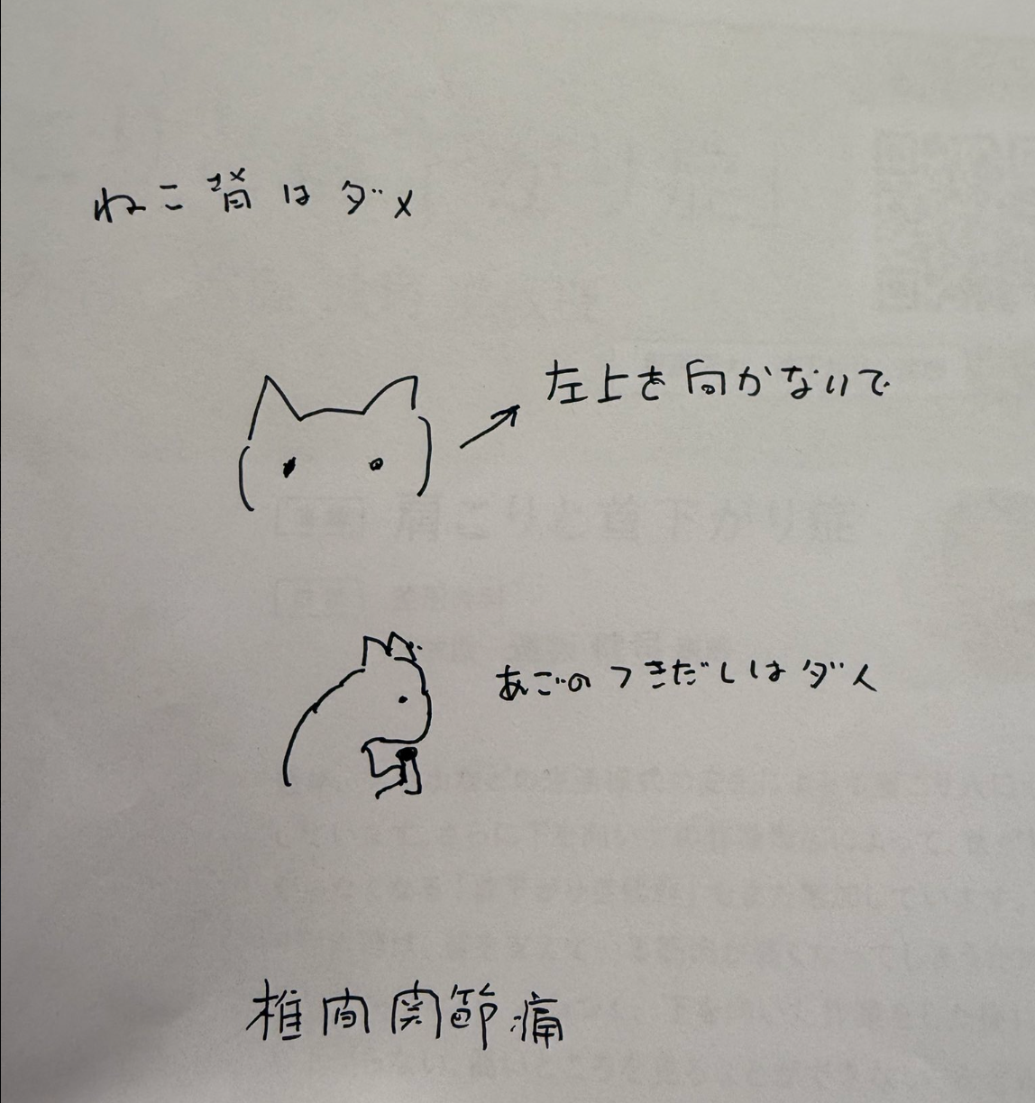 中川翔子が首の痛みで病院へ ファンからは心配の声