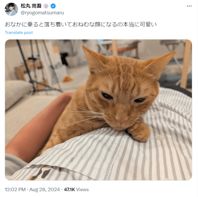 松丸亮吾「おなかに乗ると落ち着いて…」愛猫の“おねむな顔”に悶絶必至！