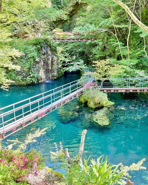 「メチャ透明度高い」早くも”夏”な高知県の観光名所が絶景すぎると話題に！